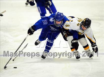 Thumbnail 3 in West Haven @ East Haven photogallery.