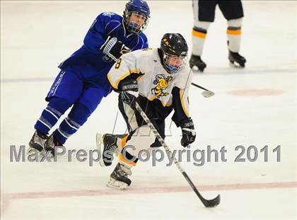 Thumbnail 3 in West Haven @ East Haven photogallery.