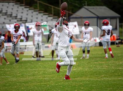Thumbnail 1 in Grassfield @ Western Branch photogallery.