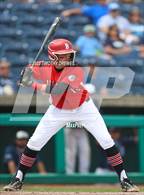 Photo from the gallery "Bellefonte vs. Dallas (PIAA 4A Final)"