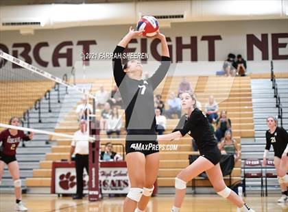 Thumbnail 1 in Stratford @ Cy-Fair photogallery.