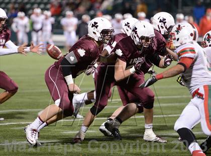 Thumbnail 1 in Aquinas vs. Jamestown (NYSPHSAA Class AA Quarterfinal) photogallery.