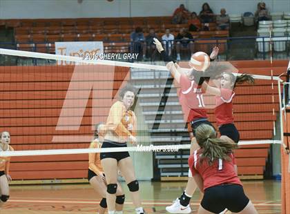 Thumbnail 2 in Daniel Boone @ Sullivan Central photogallery.