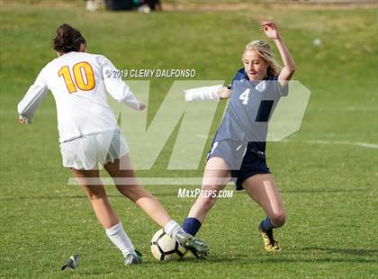 Thumbnail 2 in Rocky Mountain vs. Columbine photogallery.