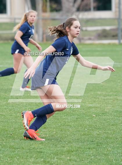 Thumbnail 3 in Rocky Mountain vs. Columbine photogallery.