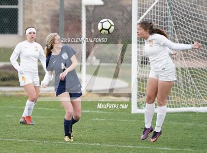 Thumbnail 2 in Rocky Mountain vs. Columbine photogallery.