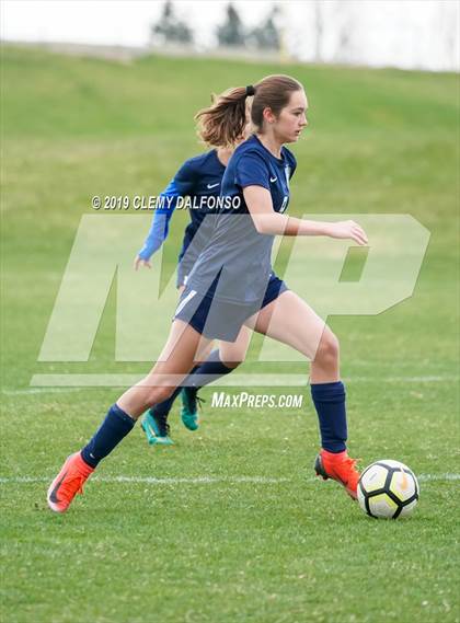 Thumbnail 3 in Rocky Mountain vs. Columbine photogallery.