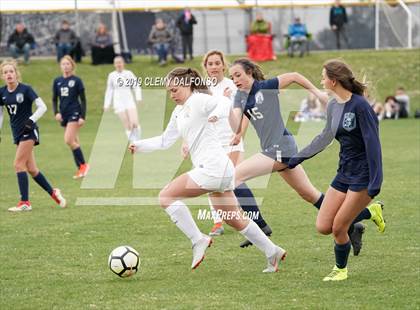 Thumbnail 2 in Rocky Mountain vs. Columbine photogallery.