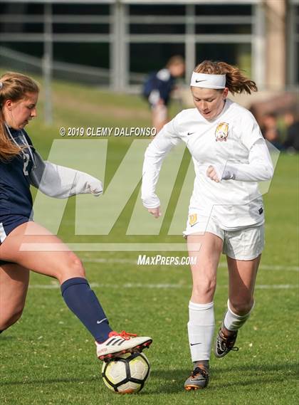 Thumbnail 2 in Rocky Mountain vs. Columbine photogallery.