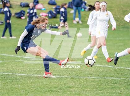 Thumbnail 3 in Rocky Mountain vs. Columbine photogallery.