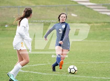 Thumbnail 3 in Rocky Mountain vs. Columbine photogallery.