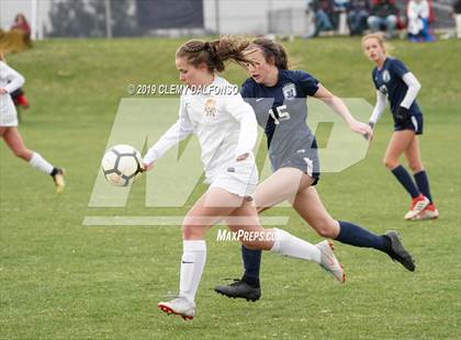 Thumbnail 3 in Rocky Mountain vs. Columbine photogallery.