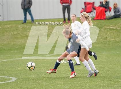 Thumbnail 3 in Rocky Mountain vs. Columbine photogallery.