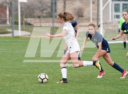 Thumbnail 3 in Rocky Mountain vs. Columbine photogallery.