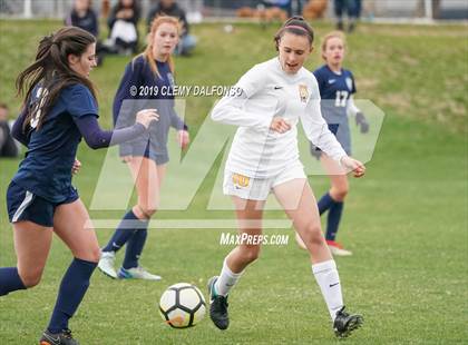 Thumbnail 3 in Rocky Mountain vs. Columbine photogallery.
