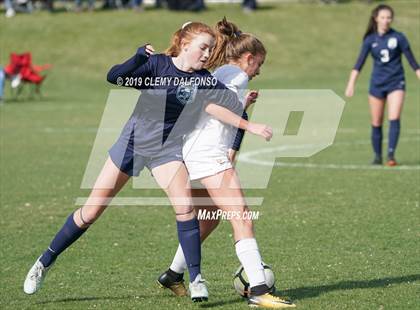 Thumbnail 3 in Rocky Mountain vs. Columbine photogallery.