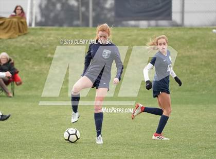 Thumbnail 3 in Rocky Mountain vs. Columbine photogallery.
