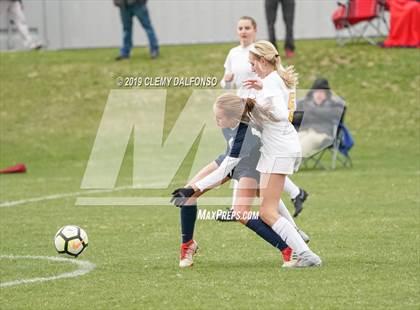 Thumbnail 1 in Rocky Mountain vs. Columbine photogallery.