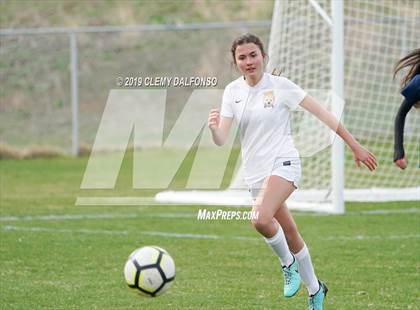 Thumbnail 3 in Rocky Mountain vs. Columbine photogallery.