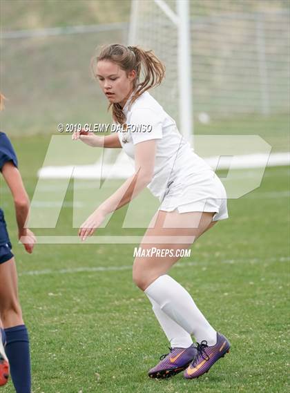 Thumbnail 2 in Rocky Mountain vs. Columbine photogallery.