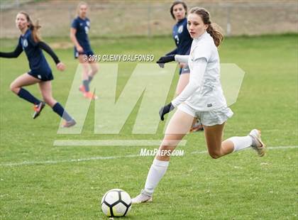 Thumbnail 3 in Rocky Mountain vs. Columbine photogallery.