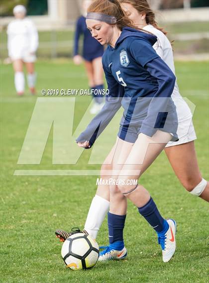 Thumbnail 3 in Rocky Mountain vs. Columbine photogallery.