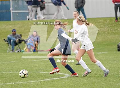 Thumbnail 2 in Rocky Mountain vs. Columbine photogallery.