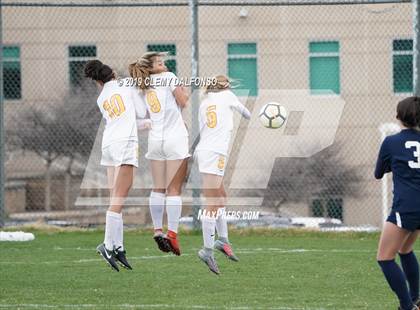 Thumbnail 3 in Rocky Mountain vs. Columbine photogallery.