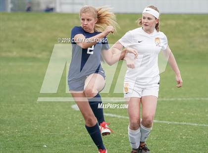 Thumbnail 3 in Rocky Mountain vs. Columbine photogallery.