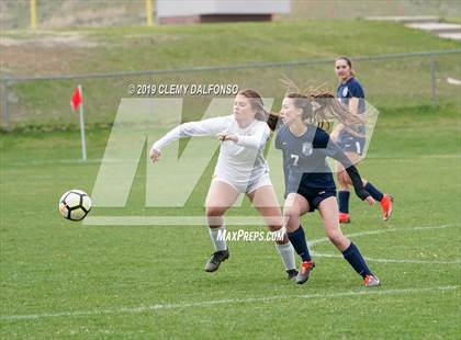 Thumbnail 3 in Rocky Mountain vs. Columbine photogallery.