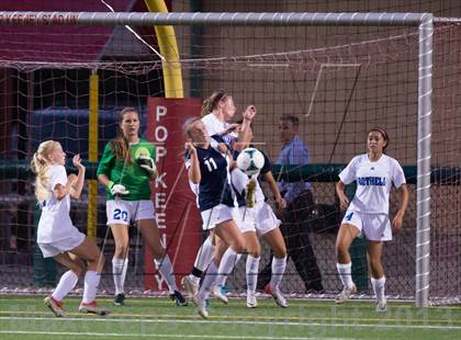 Thumbnail 1 in Hale @ Bothell photogallery.