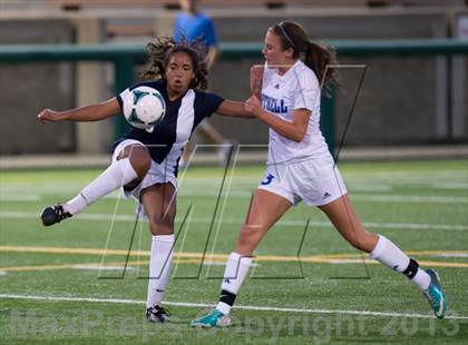 Thumbnail 1 in Hale @ Bothell photogallery.