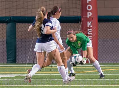 Thumbnail 1 in Hale @ Bothell photogallery.