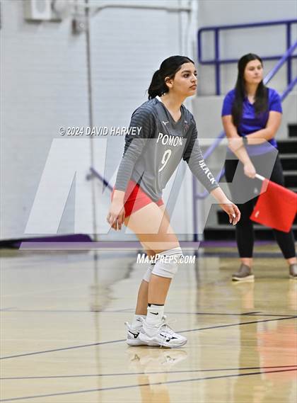 Thumbnail 2 in Pomona @ Littleton photogallery.