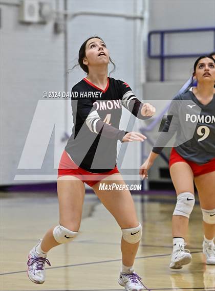 Thumbnail 3 in Pomona @ Littleton photogallery.