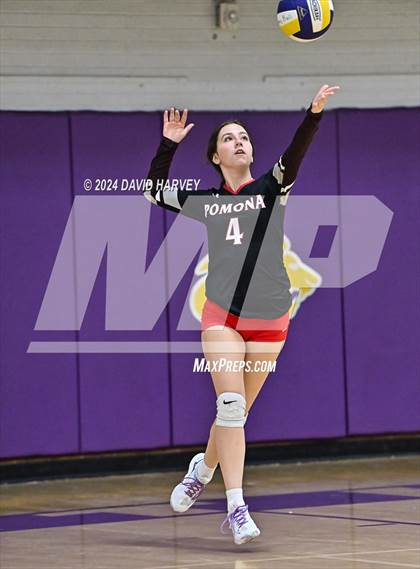 Thumbnail 2 in Pomona @ Littleton photogallery.
