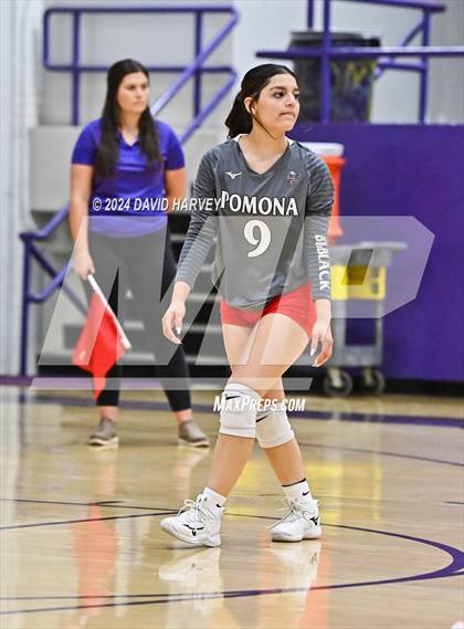 Thumbnail 2 in Pomona @ Littleton photogallery.