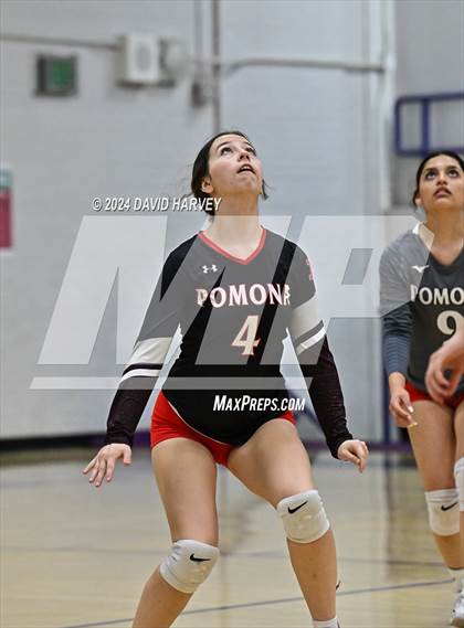 Thumbnail 2 in Pomona @ Littleton photogallery.