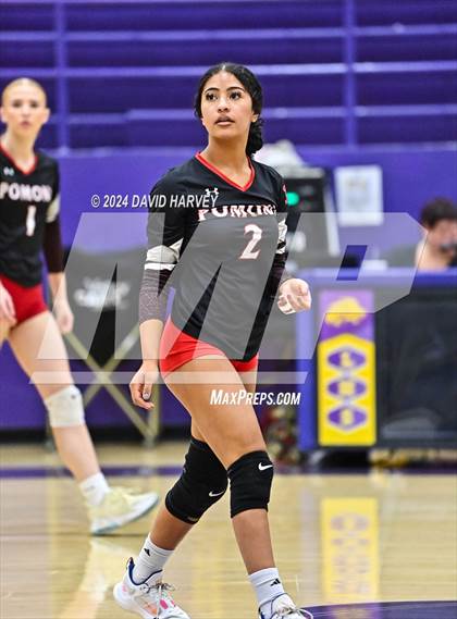 Thumbnail 2 in Pomona @ Littleton photogallery.