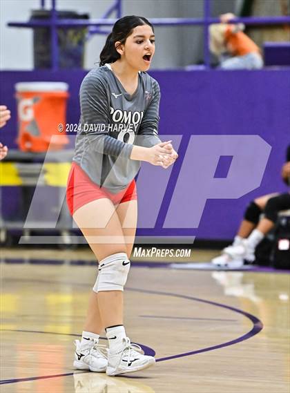 Thumbnail 3 in Pomona @ Littleton photogallery.