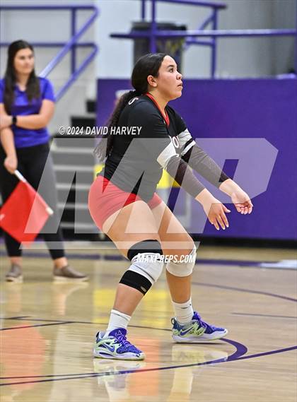 Thumbnail 1 in Pomona @ Littleton photogallery.