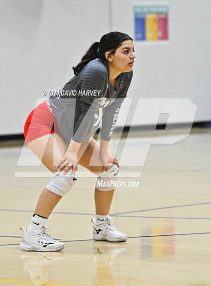 Thumbnail 2 in Pomona @ Littleton photogallery.