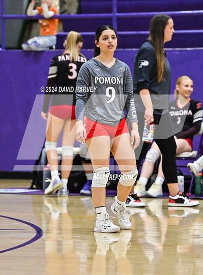 Thumbnail 3 in Pomona @ Littleton photogallery.