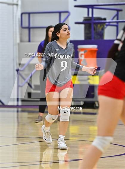 Thumbnail 1 in Pomona @ Littleton photogallery.
