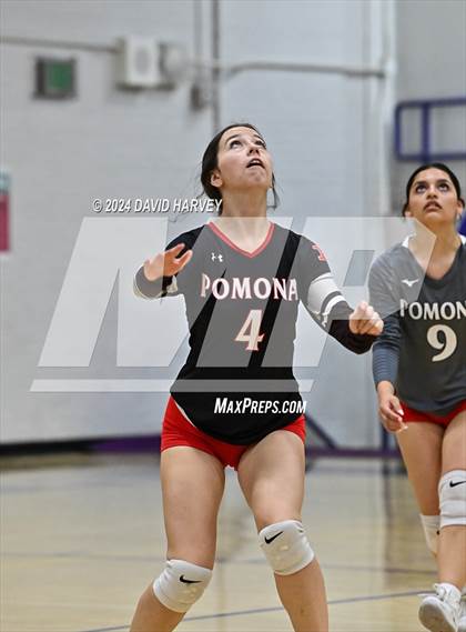 Thumbnail 3 in Pomona @ Littleton photogallery.