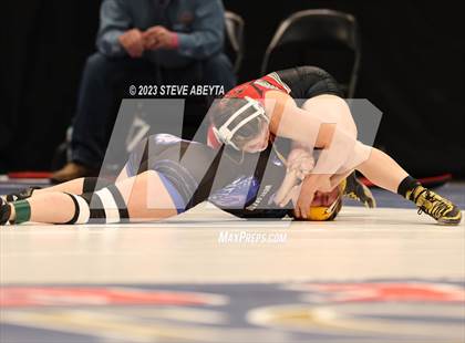 Thumbnail 1 in CHSAA State Championship (Girls 2nd Round Consolation / Semifinals) photogallery.
