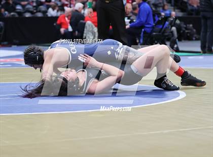 Thumbnail 2 in CHSAA State Championship (Girls 2nd Round Consolation / Semifinals) photogallery.