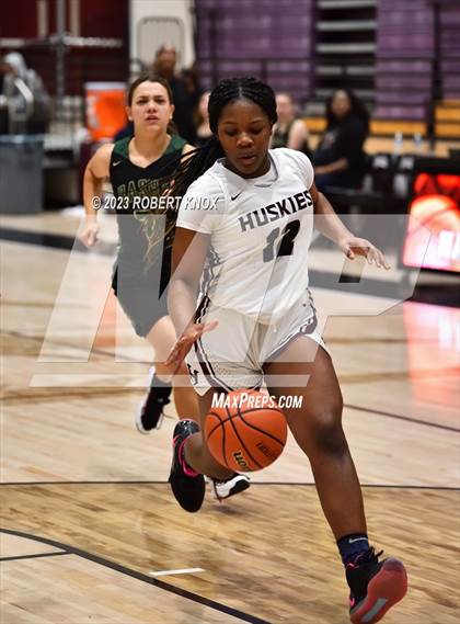 Thumbnail 1 in JV: Basha @ Hamilton photogallery.