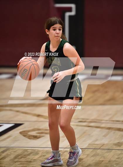 Thumbnail 1 in JV: Basha @ Hamilton photogallery.