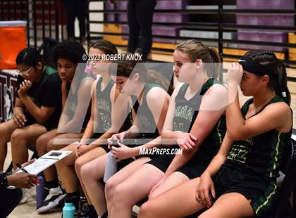 Thumbnail 2 in JV: Basha @ Hamilton photogallery.
